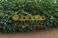 FAZENDA NO TOCANTINS