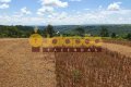 FAZENDA NO TOCANTINS