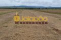 FAZENDA NO TOCANTINS