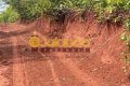 FAZENDA TOCANTINS