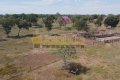 FAZENDA NO TOCANTINS