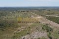FAZENDA NO TOCANTINS