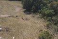 FAZENDA NO TOCANTINS