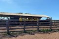 FAZENDA NO TOCANTINS