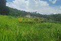 FAZENDA NO TOCANTINS 