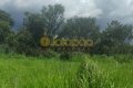FAZENDA NO TOCANTINS 