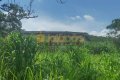 FAZENDA NO TOCANTINS 