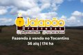 FAZENDA NO TOCANTINS 