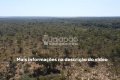 FAZENDA NO TOCANTINS 