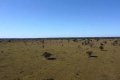 FAZENDA NO TOCANTINS