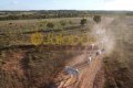 FAZENDA NO TOCANTINS 
