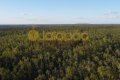 FAZENDA NO TOCANTINS 