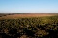 FAZENDA NO TOCANTINS