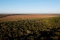 FAZENDA NO TOCANTINS