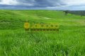 FAZENDA NO TOCANTINS