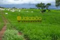 FAZENDA NO TOCANTINS