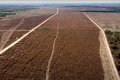 FAZENDA NO  TOCANTINS