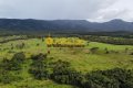 FAZENDA  NO TOCANTINS