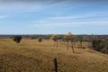FAZENDA NO TOCANTINS