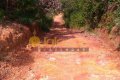 FAZENDA NO TOCANTINS