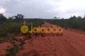 FAZENDA NO TOCANTINS