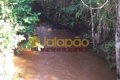 FAZENDA NO TOCANTINS