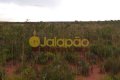FAZENDA NO TOCANTINS