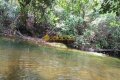 FAZENDA NO TOCANTINS
