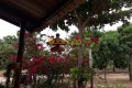 FAZENDA NO TOCANTINS