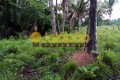 FAZENDA NO TOCANTINS