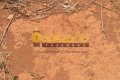 FAZENDA PARA ARRENDAMENTO NO TOCANTINS