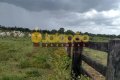 FAZENDA PARA ARRENDAMENTO NO TOCANTINS