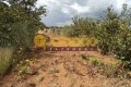 FAZENDA PARA ARRENDAMENTO NO TOCANTINS