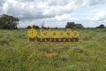 FAZENDA PARA ARRENDAMENTO NO TOCANTINS