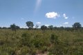 FAZENDA NO TOCANTINS