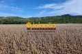 FAZENDA NO TOCANTINS