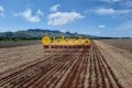 FAZENDA NO TOCANTINS