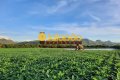 FAZENDA NO TOCANTINS
