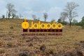 FAZENDA NO TOCANTINS