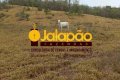 FAZENDA NO TOCANTINS