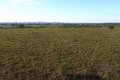 FAZENDA NO TOCANTINS