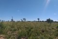 FAZENDA NO TOCANTINS