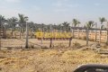 FAZENDA PARA PECUÁRIA NO TOCANTINS
