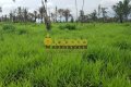 FAZENDA PARA PECUÁRIA NO TOCANTINS