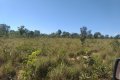 FAZENDA NO TOCANTINS
