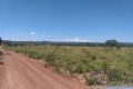FAZENDA NO TOCANTINS