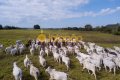 MEGA FAZENDA NO TOCANTINS