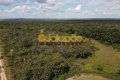 FAZENDA PARA LAVOURA NO TOCANTIS