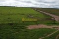FAZENDA À VENDA NO TOCANTINS