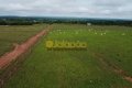 FAZENDA À VENDA NO TOCANTINS